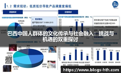 巴西中国人群体的文化传承与社会融入：挑战与机遇的双重探讨