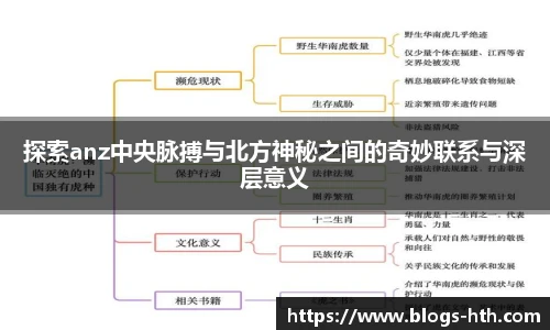 探索anz中央脉搏与北方神秘之间的奇妙联系与深层意义